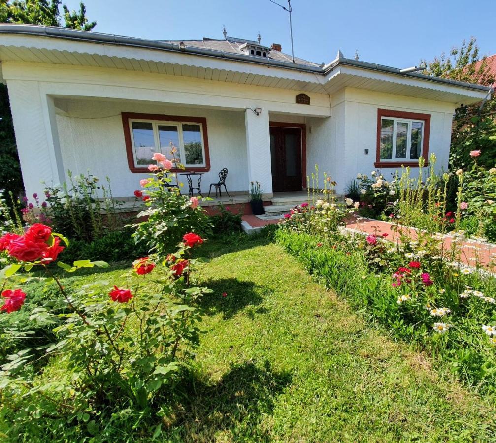 Casa Jeni Villa Humulesti Buitenkant foto