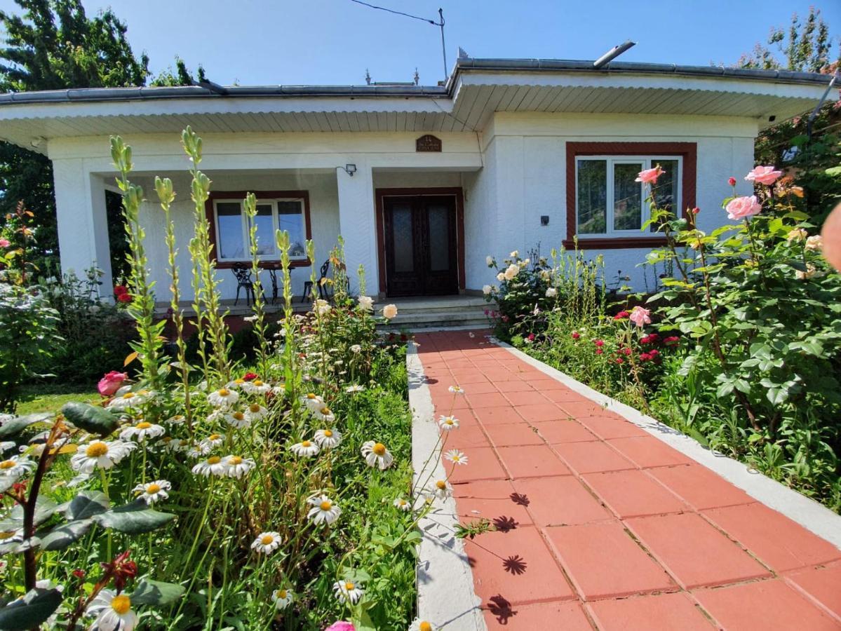 Casa Jeni Villa Humulesti Buitenkant foto