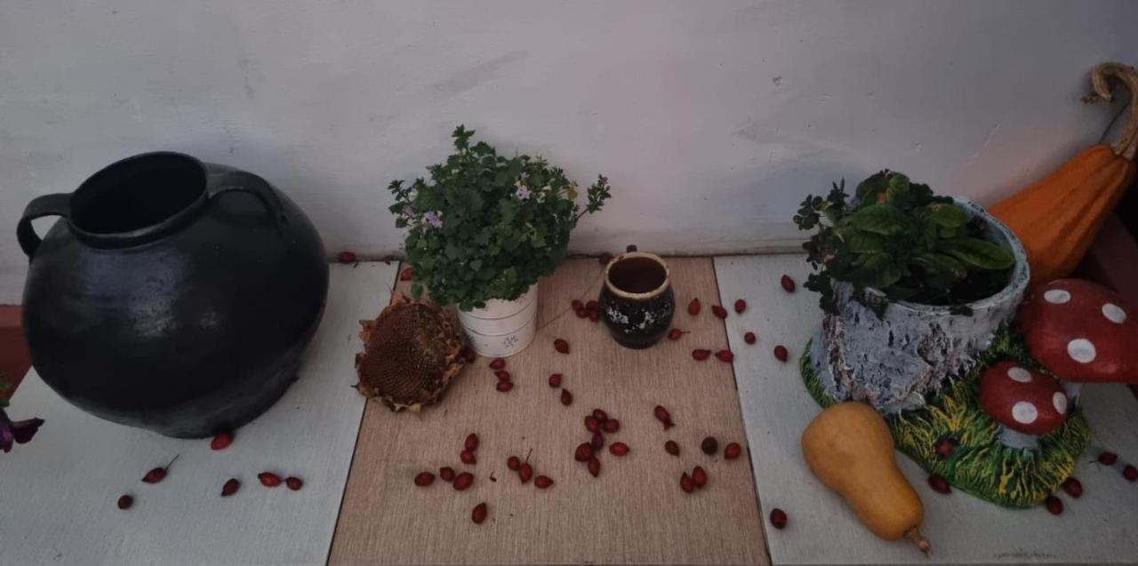 Casa Jeni Villa Humulesti Buitenkant foto